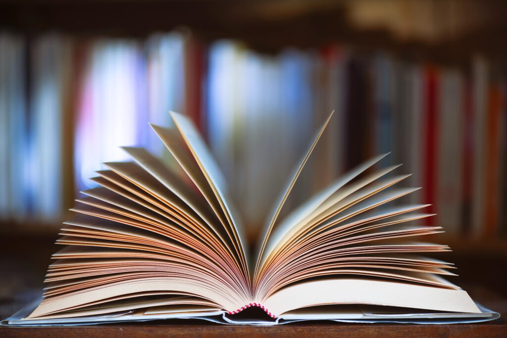 Building Peace Through Literature